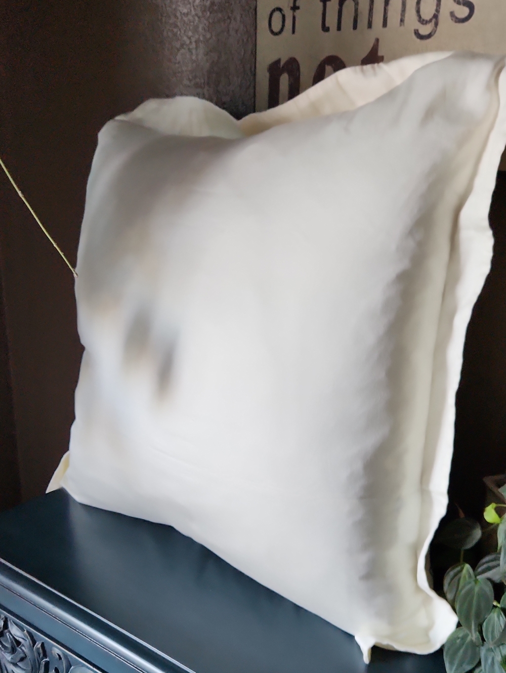 Quince Giza Cotton Sateen Euro Sham, Ivory, NWOT